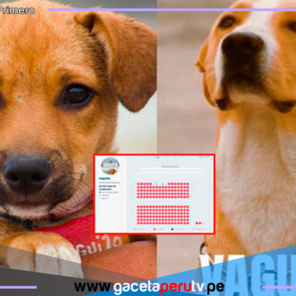 'Vaguito' es un rotundo éxito tras baja acogida en su debut