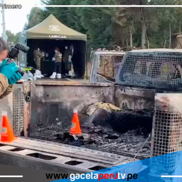 Ataque Mortal en Chile: Emboscada en La Araucanía Causa la Muerte de Tres Carabineros
