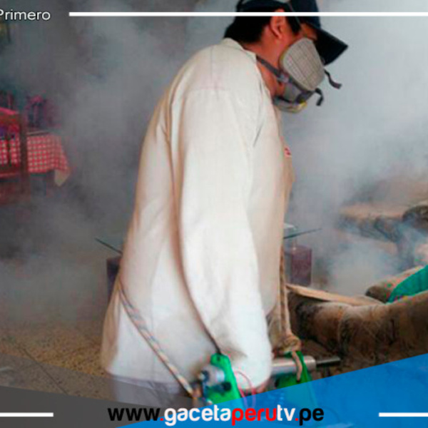 Brigadas de salud en Ancash frenan avance del dengue con intensa fumigación 