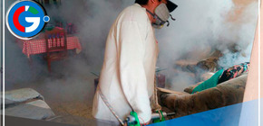 Brigadas de salud en Ancash frenan avance del dengue con intensa fumigación 