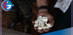 Mujer fallece en choque vehicular y se descubrió que llevaba droga