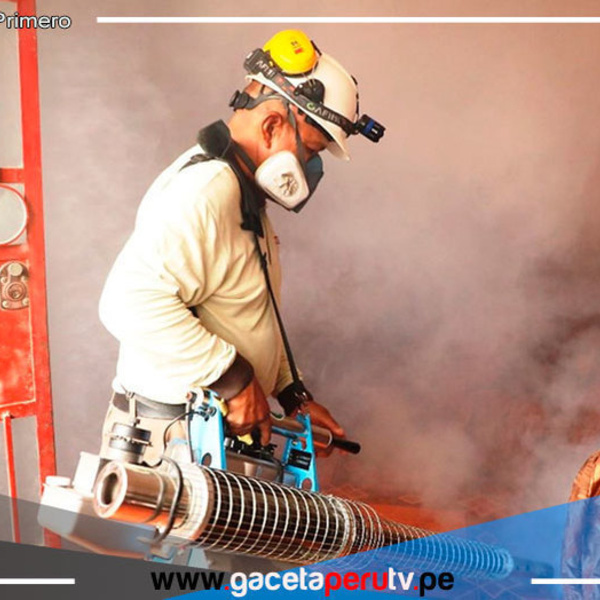 Intervienen más de 1,000 viviendas con Fumigatón en Independencia 