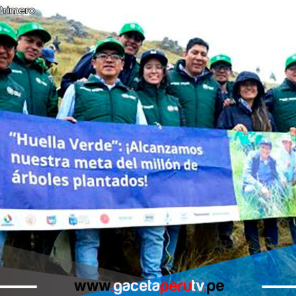 Conoce el proyecto que sembró un millón de árboles nativos en Cajamarca 