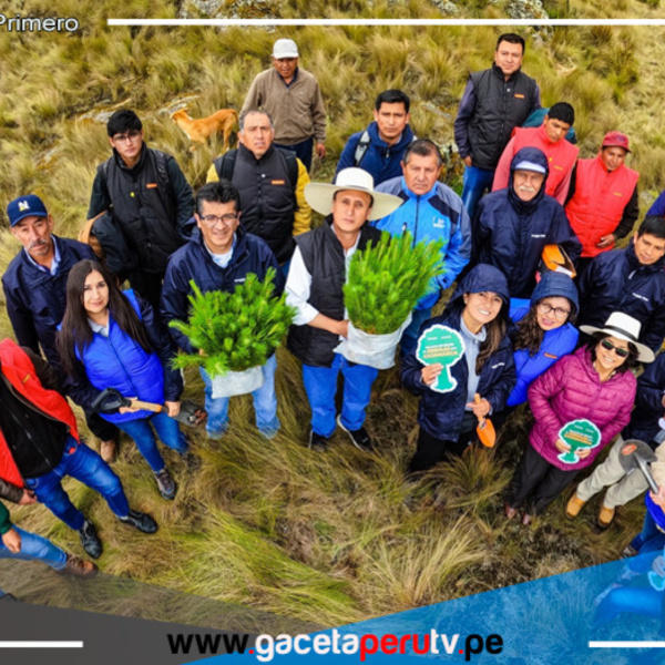 La iniciativa Huella Verde sembró 1 millón de árboles nativos en Cajamarca