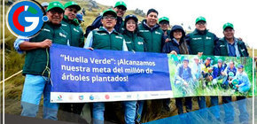 Conoce el proyecto que sembró un millón de árboles nativos en Cajamarca 