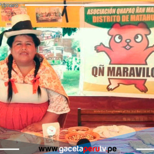 El éxito del proyecto de crianza de cuyes en Perú