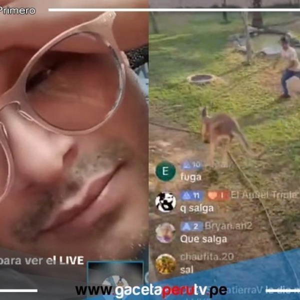 Desafío viral en TikTok conduce  ataques hacia  animales en Parque de las Leyendas
