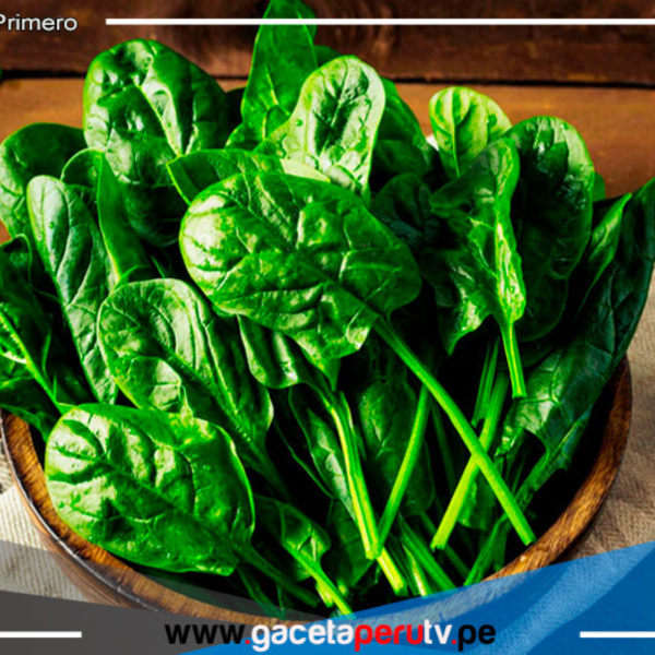Conoce la verdura que te ayuda a aumentar masa muscular y bajar de peso