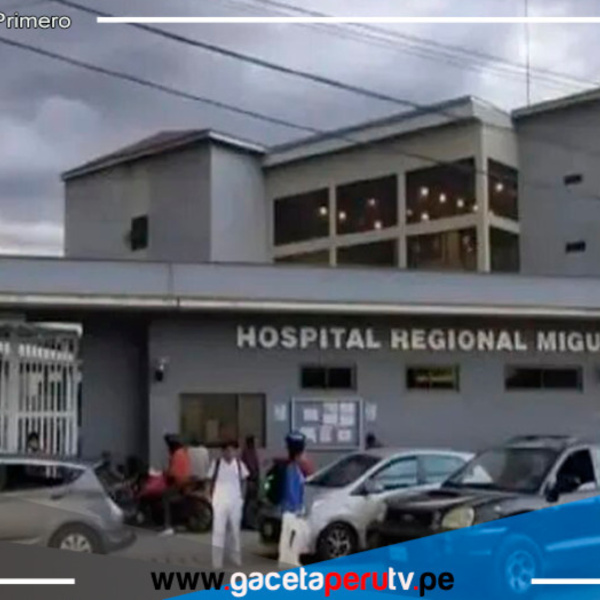 Ayacucho: Nueve pasajeros heridos son dados de alta tras despiste de bus 