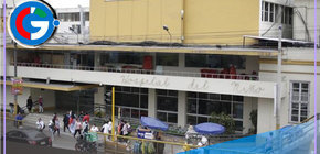 Niño es atacado por perros y lucha por su vida