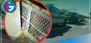 Niño de 2 años es encontrado en una jaula