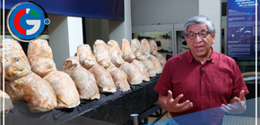 El museo de Historia Natural de San Marcos se llena de fósiles gigantes