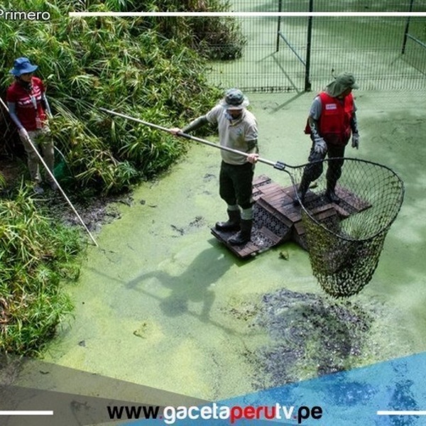 Costa Rica cierra sus últimos zoológicos estatales en un hito para la conservación animal