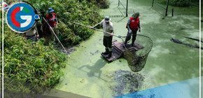 Costa Rica cierra sus últimos zoológicos estatales en un hito para la conservación animal