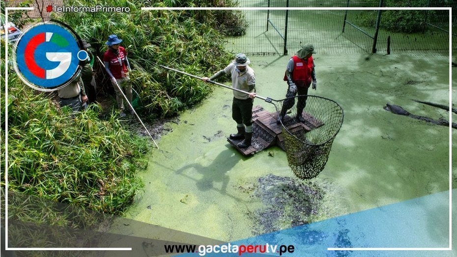 Costa Rica cierra sus últimos zoológicos estatales en un hito para la conservación animal