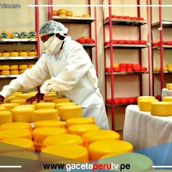 Cajamarca brilla en el Salón del Queso de Lima