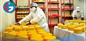 Cajamarca brilla en el Salón del Queso de Lima