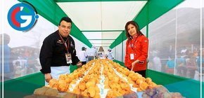  XXIII Festival de la Papa Amarilla en Huánuco