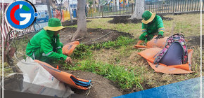 Alcalde Ulises Villegas lidera mejora del Parque Santa Rosa en Comas