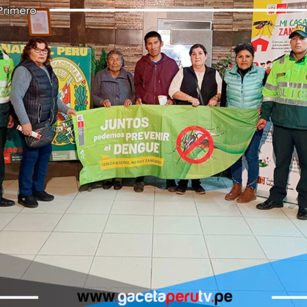 Arequipa: confirman tres nuevos casos de dengue autóctono