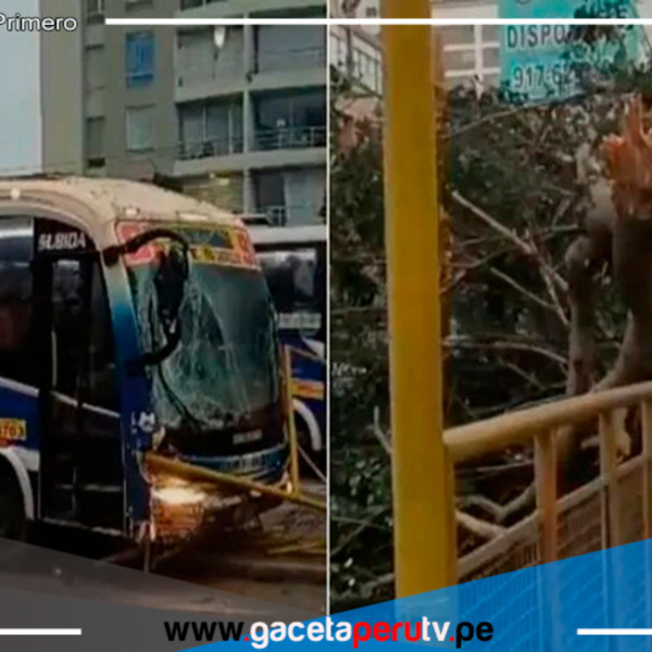 Bus de transporte público se despista en la Avenida Brasil