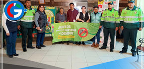 Arequipa: confirman tres nuevos casos de dengue autóctono