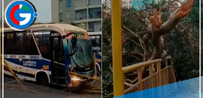 Bus de transporte público se despista en la Avenida Brasil
