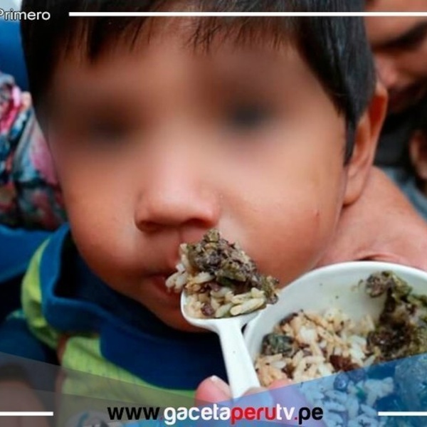 El alarmante aumento de la anemia infantil en el país