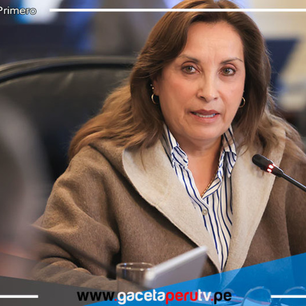 Fiscal interino presenta acusación contra la presidenta de la República por el caso Rolex