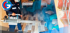 Diris Lima Centro logra menor mortalidad en Lima Metropolitana