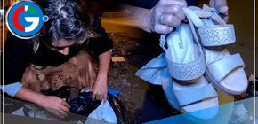 Erika Saavedra: la recicladora peruana