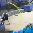 Señora se enfrenta a un delincuente que intentaba robarse silla de ruedas