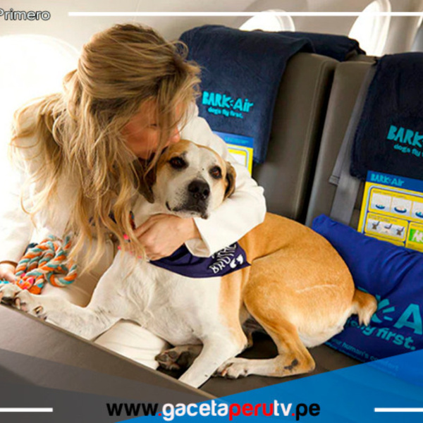 Bark Air: La aerolínea pet-friendly que revoluciona los viajes con mascotas
