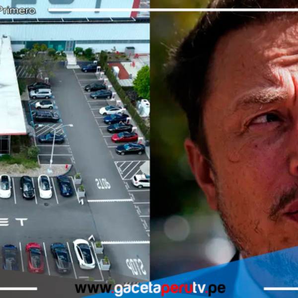 Los despidos del personal de Tesla se extienden hasta la cuarta semana
