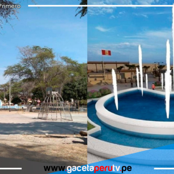 Municipalidad de Piura niega tala de árboles en Parque de las Aguas