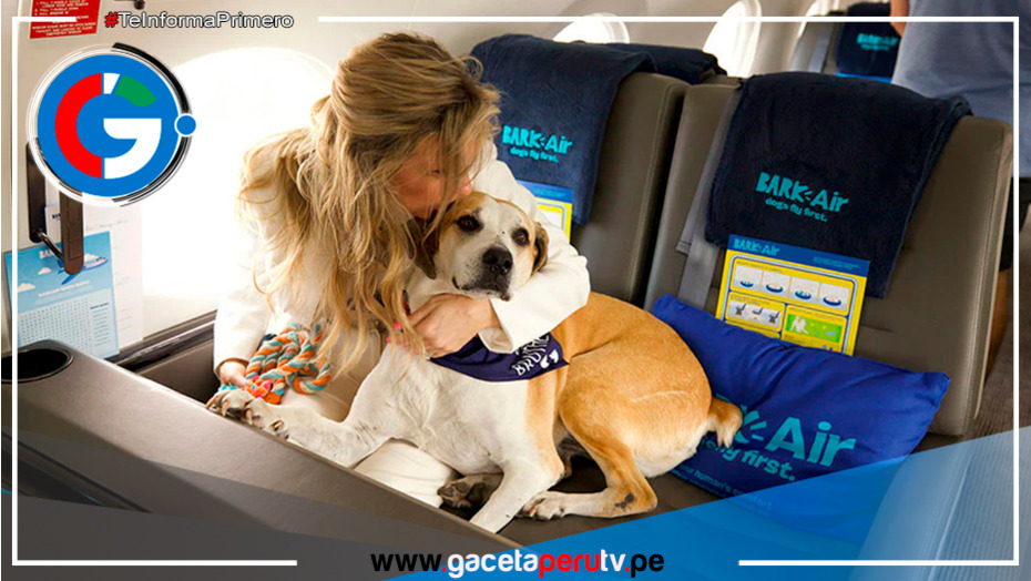 Bark Air: La aerolínea pet-friendly que revoluciona los viajes con mascotas