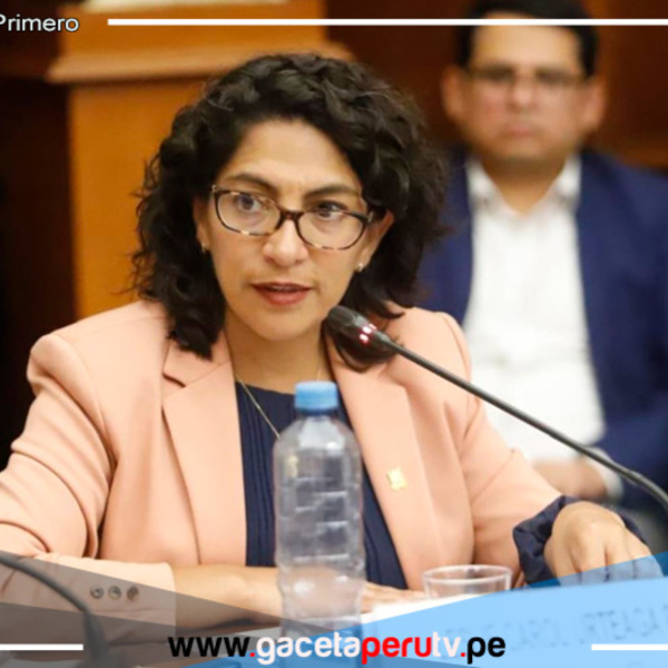 Ministra de Cultura anuncia observación del Ejecutivo a modificaciones en ley del cine