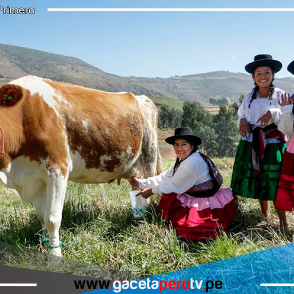 Premiarán a figuras destacadas de los rubros agrícola, pecuario y forestal 