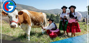 Premiarán a figuras destacadas de los rubros agrícola, pecuario y forestal 