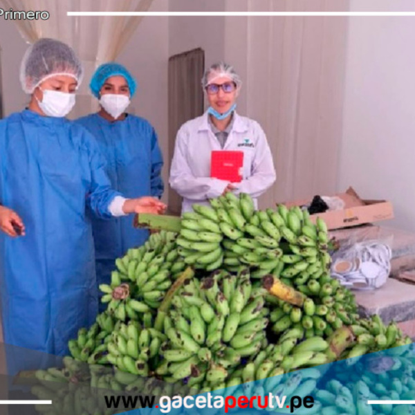 Innovación Nutricional contra la Anemia Infantil en Perú