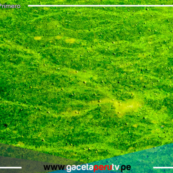 Científicos logran generación de electricidad con emisiones negativas de carbono
