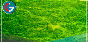 Científicos logran generación de electricidad con emisiones negativas de carbono