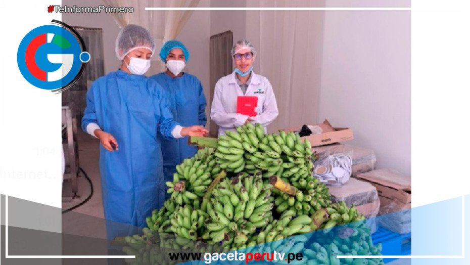 Innovación Nutricional contra la Anemia Infantil en Perú
