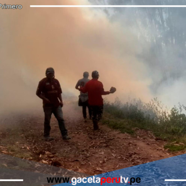 Incendio Forestal Arrasa 25 Hectáreas en Huariaca, Pasco