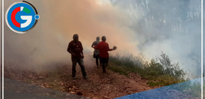 Incendio Forestal Arrasa 25 Hectáreas en Huariaca, Pasco