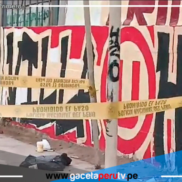 El Agustino: Asesinan a joven mientras pintaba mural del club Universitario