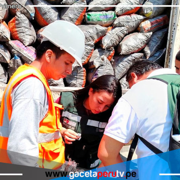 Piura: decomisan 25 toneladas de carbón de algarrobo