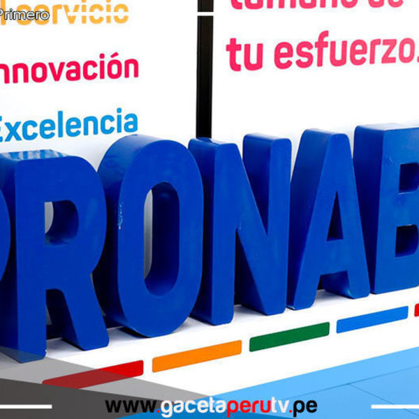 Designan a directora ejecutiva de Pronabec 