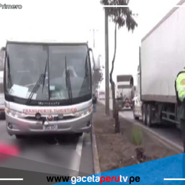 Un hombre muere atropellado por bus turístico