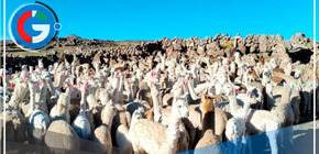 Midagri impulsa medidas preventivas para proteger la actividad agropecuaria en Ayacucho